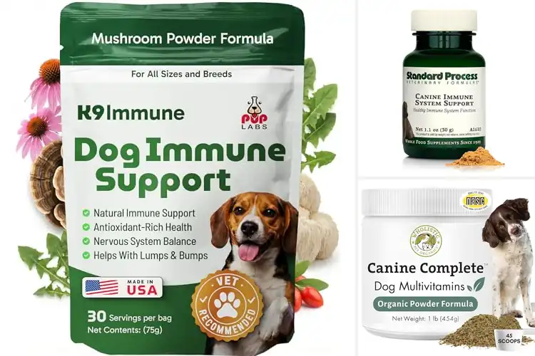 Detailed view of Best Dog Foods For Immune System Supports