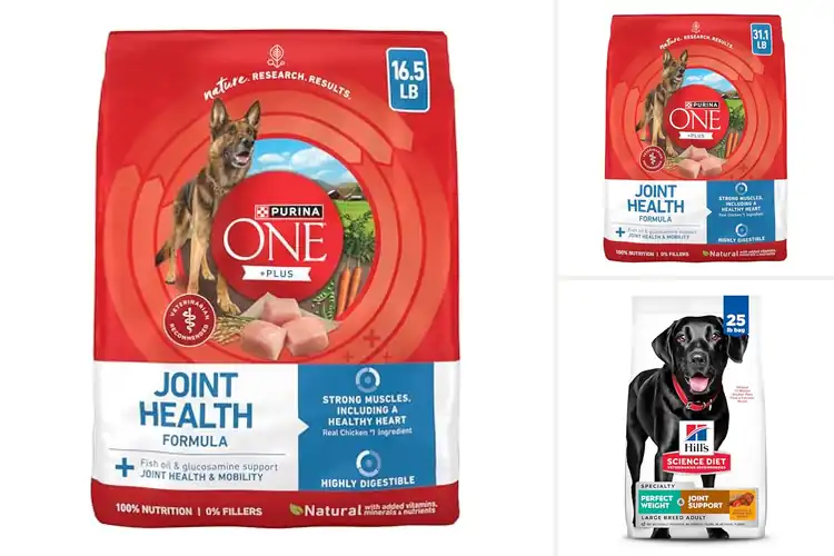 Detailed view of Best Dog Foods for Joint Health