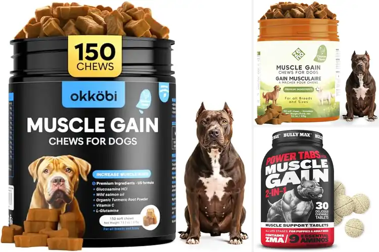 Detailed view of Best Dog Foods For Muscle Developments