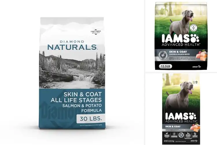 Detailed view of Best Dog Foods For Skin And Coat Healths