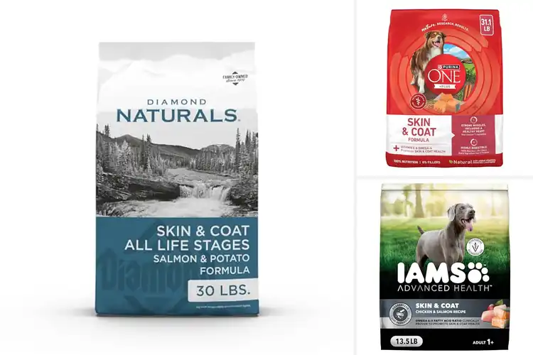 Detailed view of Best Dog Foods for Skin and Coat: Top 10 Nutrient-Rich Picks
