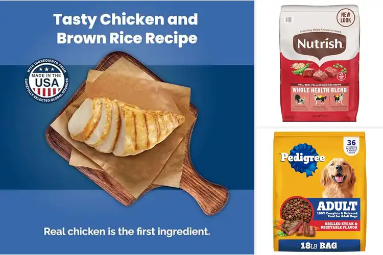 Detailed view of Best Dog Foods for a Healthy, Happy, and Energetic Pup