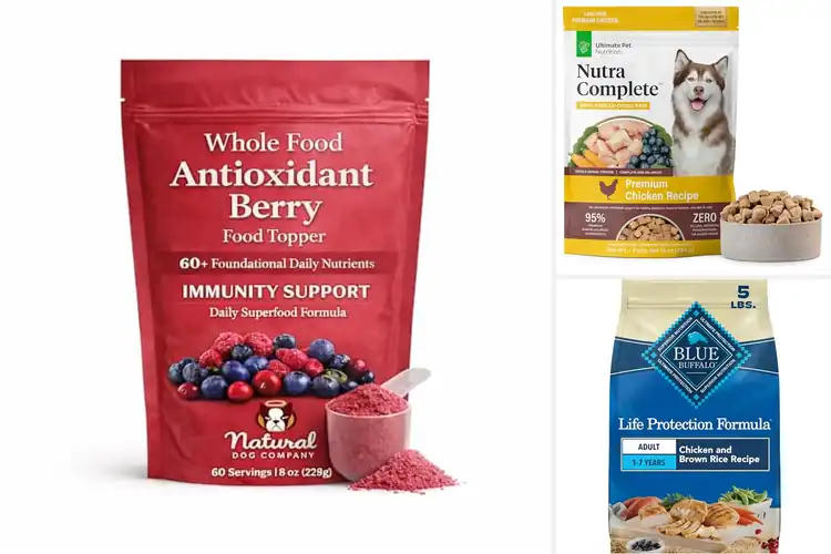 Detailed view of Best Dog Foods With Antioxidants: Top 10 Nutritious Picks