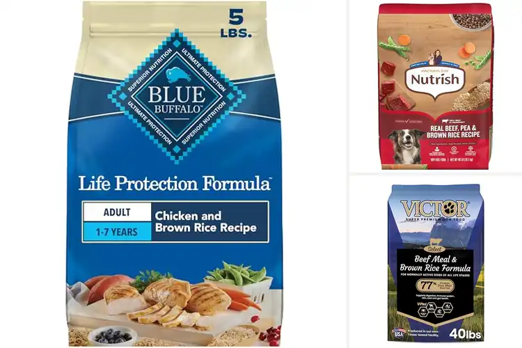 Detailed view of Best Dog Foods With Brown Rice for Healthy, Happy Meals