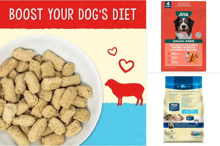 Detailed view of Best Dog Foods With Immune Support