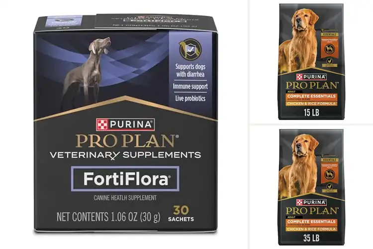 Detailed view of Best Dog Foods with Probiotics for a Healthy, Happy Gut