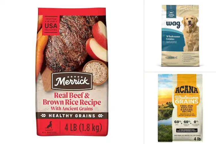 Detailed view of Best Dog Foods With Wholesome Grains