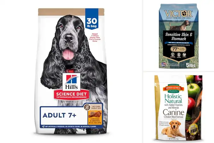 Detailed view of Best Dog Foods Without Corn Wheat Or Soy