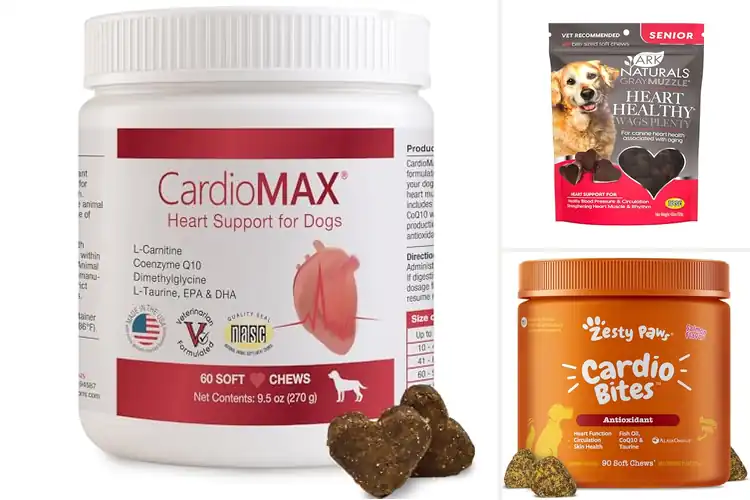 Detailed view of Best Dog Heart Supplements for Stronger Canine Health