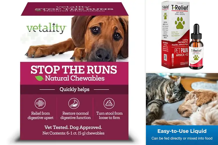 Detailed view of Best Dog Medicine Helpers