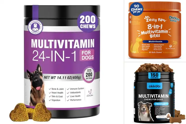 Detailed view of Best Dog Multivitamins