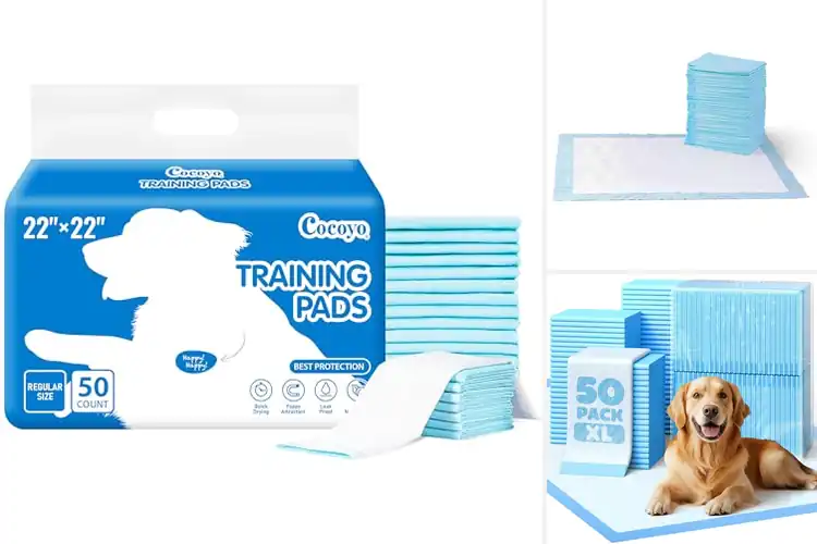 Detailed view of Best Dog Pads