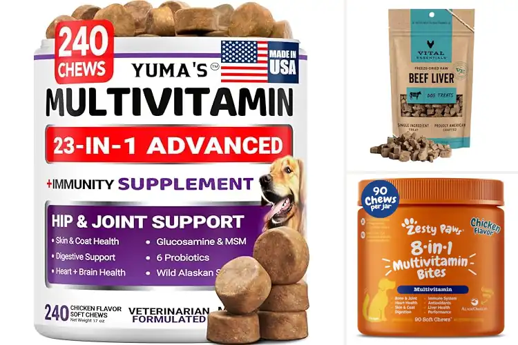 Detailed view of Best Dog Supplement Treats