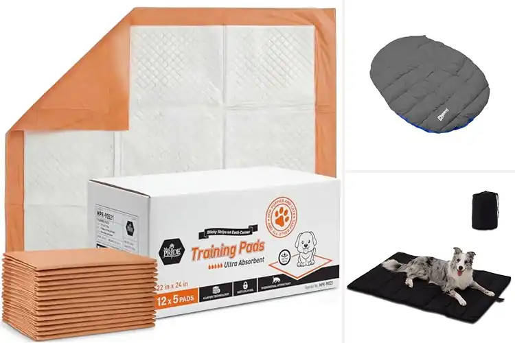 Detailed view of Best Dog Travel Pads: 10 Top Picks for Stress-Free Trips