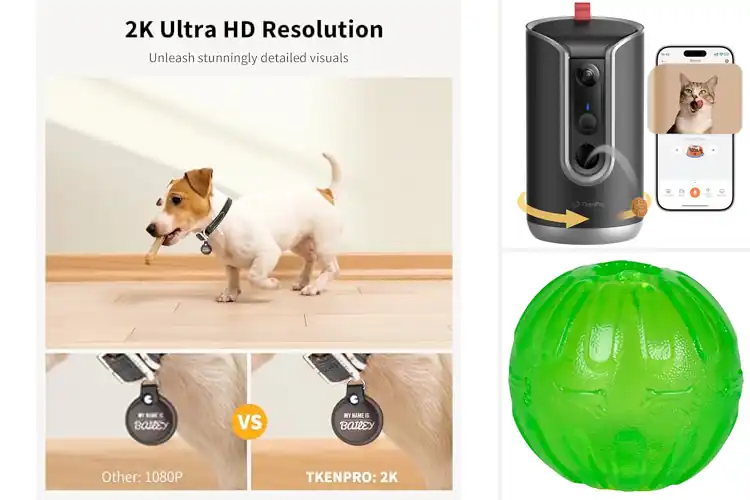 Detailed view of Best Dog Treat Dispensers