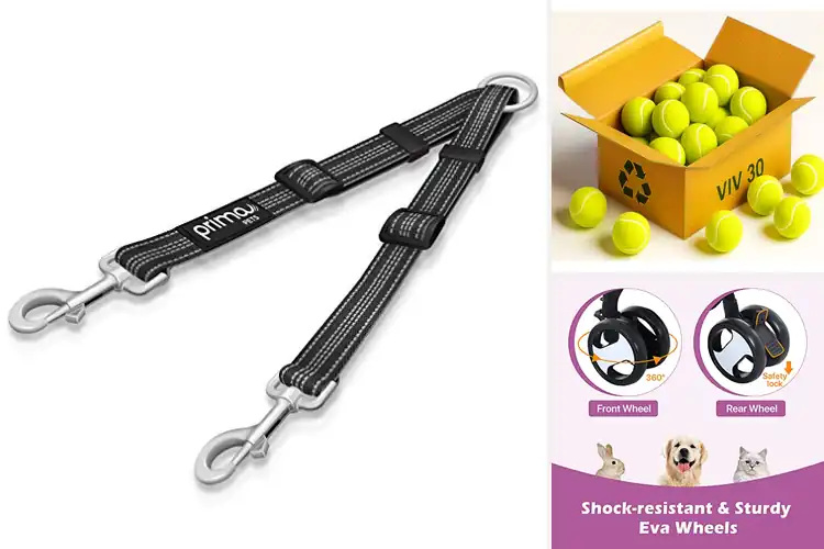 Detailed view of Best Dog Walkers: Top Picks for Stress-Free, Fun Walks