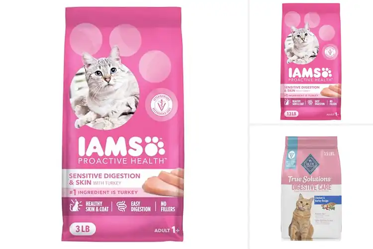Detailed view of Best Dry Cat Foods For Digestive Health