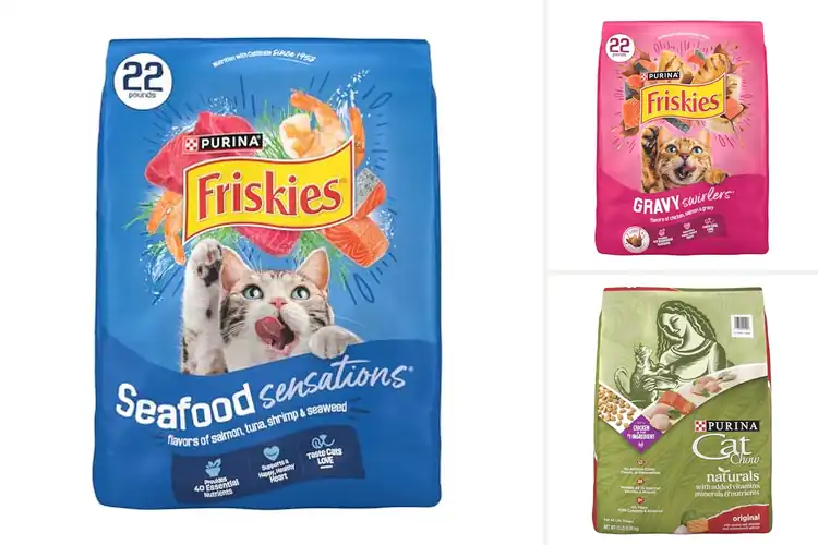 Detailed view of Best Dry Cat Foods