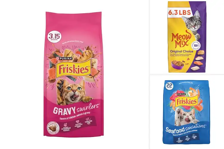 Detailed view of Best Dry Cat Kibbles: Nourish Your Cat with Love & Health