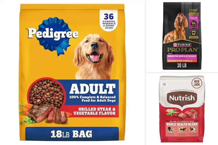 Detailed view of Best Dry Dog Food: Top Picks for a Healthy, Happy Pup
