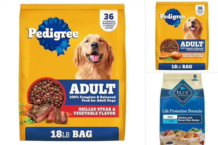 Detailed view of Best Dry Dog Foods For Adult Dogs
