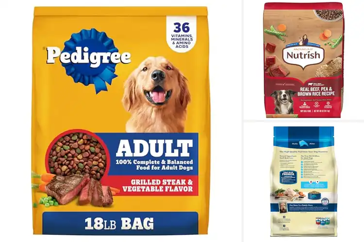 Detailed view of Best Dry Dog Foods: Top Picks for a Healthy, Happy Pup