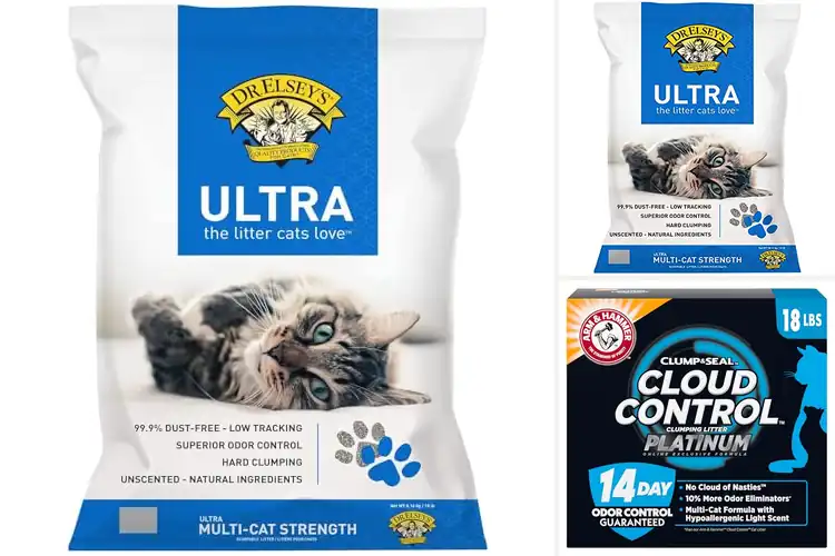 Detailed view of Best Dust Free Cat Litter Particles