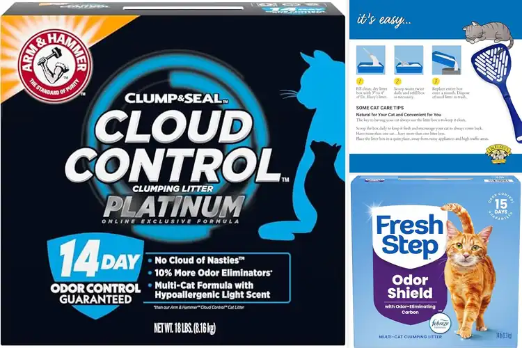 Detailed view of Best Dust Free Cat Litters: Keep Your Home Clean & Cat Happy