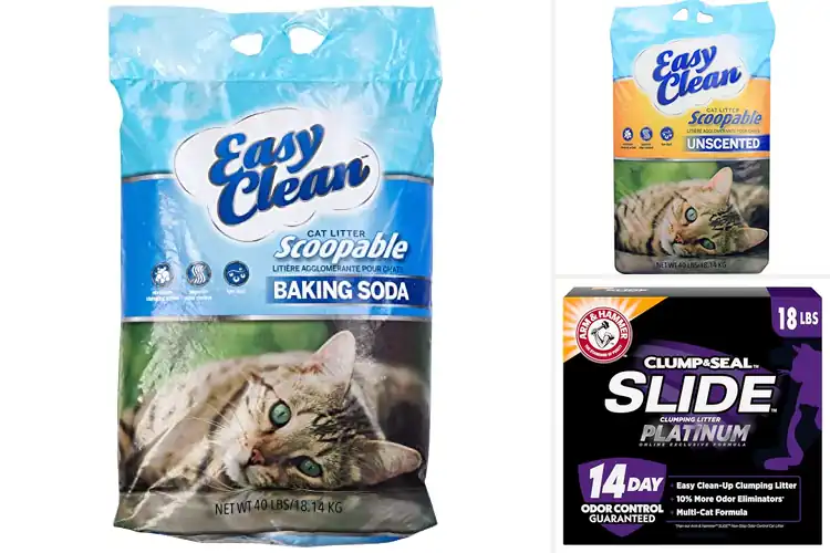 Detailed view of Best Easy Clean Cat Litters