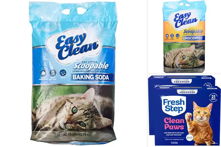 Detailed view of Best Easy-Clean Litters