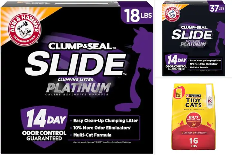 Detailed view of Best Easy Clean-Up Cat Litters: Save Time, Stay Fresh