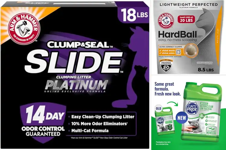 Detailed view of Best Easy Scooping Cat Litters: Keep Your Home Fresh & Clean