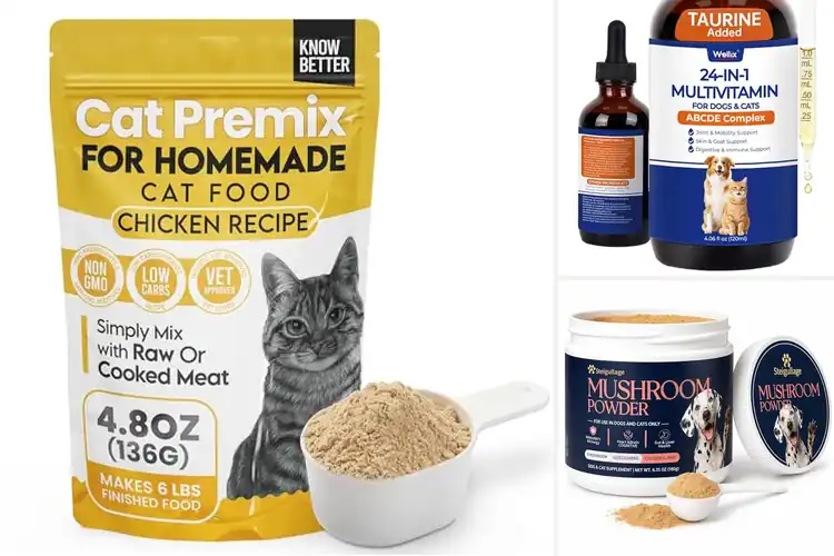 Detailed view of Best Easy-To-Mix Pet Supplements