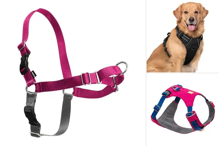Detailed view of Best Easy Wear Harnesses for Stress‑Free Walks