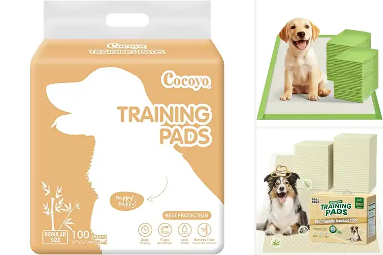 Detailed view of Best Eco-Friendly Pee Pads: Top 10 Picks for a Greener Home