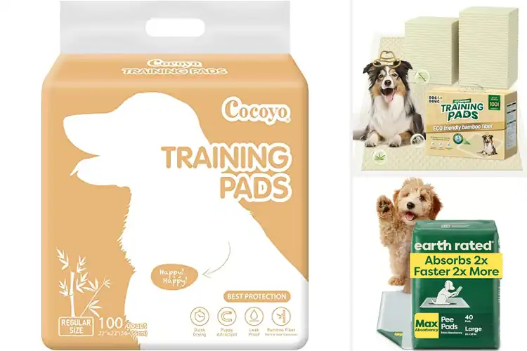 Detailed view of Best Eco-Friendly Puppy Pads: 10 Easy Potty Picks