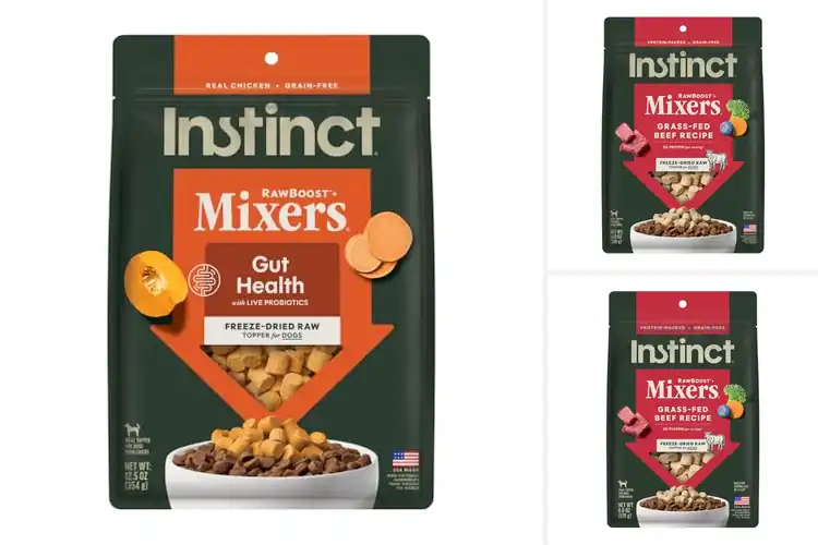 Detailed view of Best Energy Boosting Dog Foods: Top 10 Picks for Active Pets