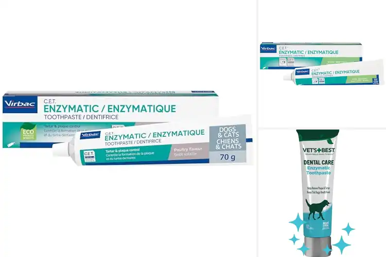 Detailed view of Best Enzymatic Toothpastes
