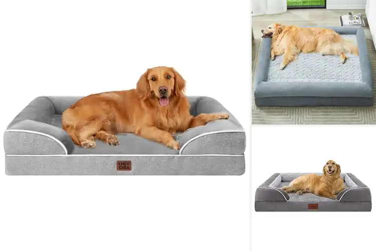 Detailed view of Best Extra Large Dog Beds: Top 10 Comfort Picks