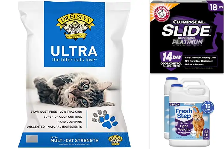 Detailed view of Best Fast Clumping Litters