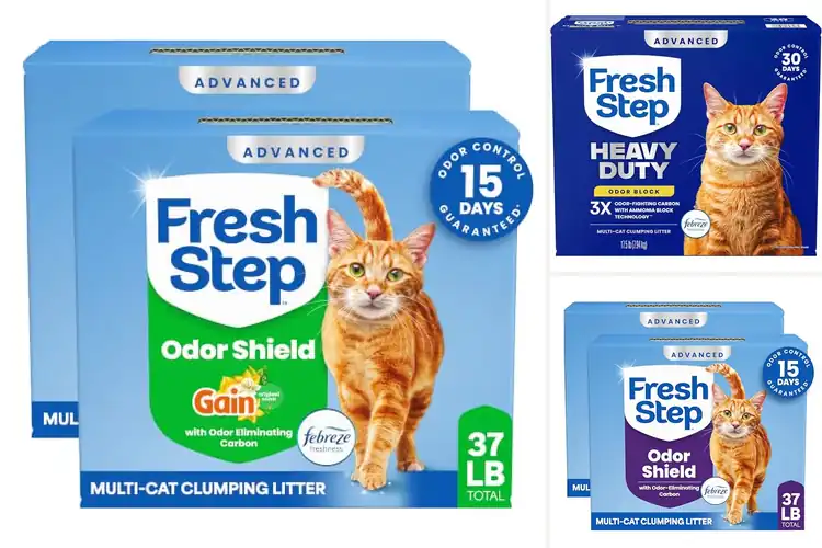 Detailed view of Best Febreze‑Fresh Litters: Top Picks for Odor-Free Homes