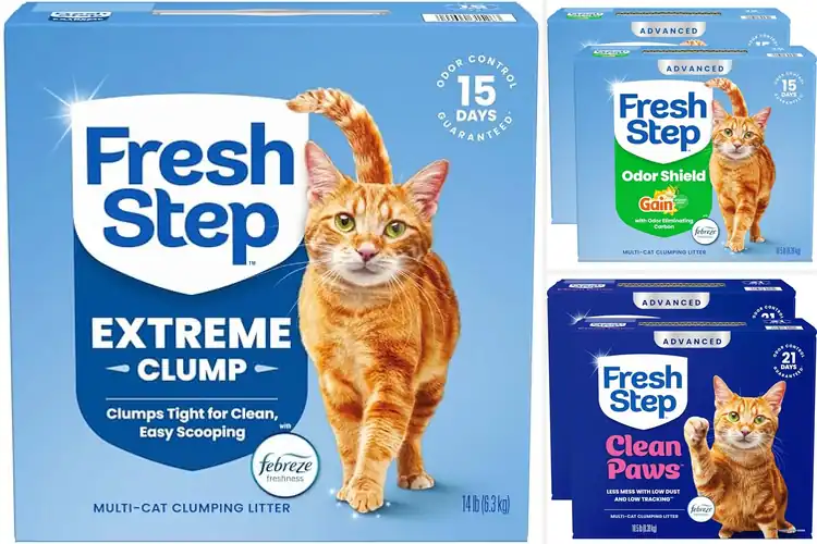 Detailed view of Best Febreze Freshness Cat Litter For Smell Control