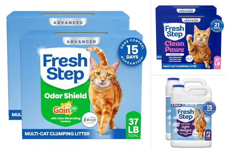 Detailed view of Best Febreze Freshness Litters