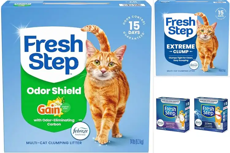 Detailed view of Best Febreze Freshness Scent Litter