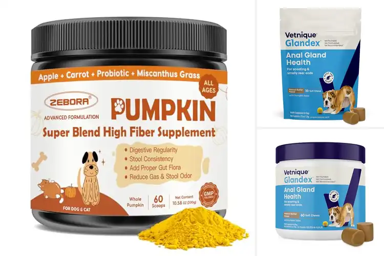 Detailed view of Best Fiber Supplements For Dogs: Top 10 Digestive Solutions