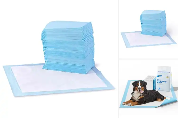 Detailed view of Best Five Layer Absorbent Puppy Pads