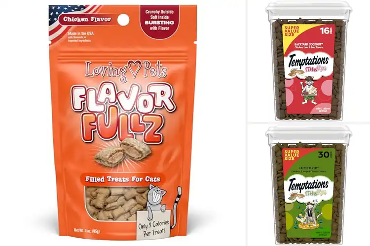 Detailed view of Best Flavorful Cat Treats