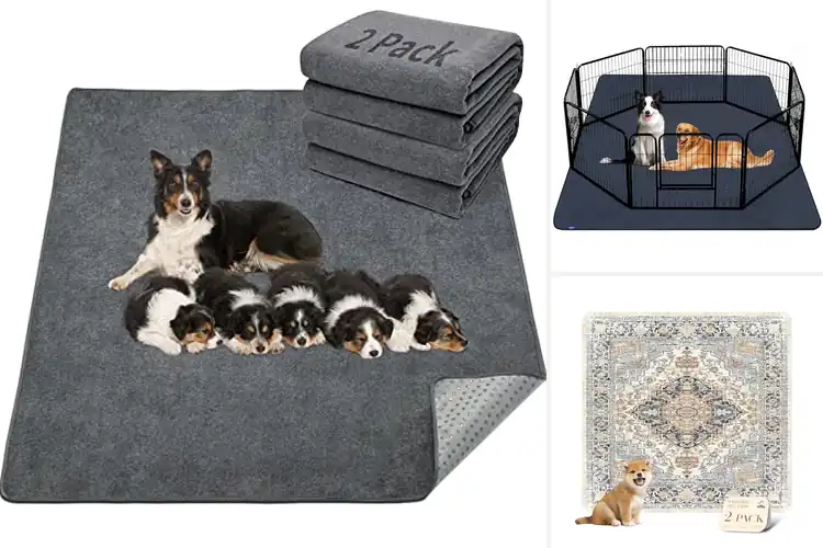 Detailed view of Best Floor Safe Leak Proof Pet Pads