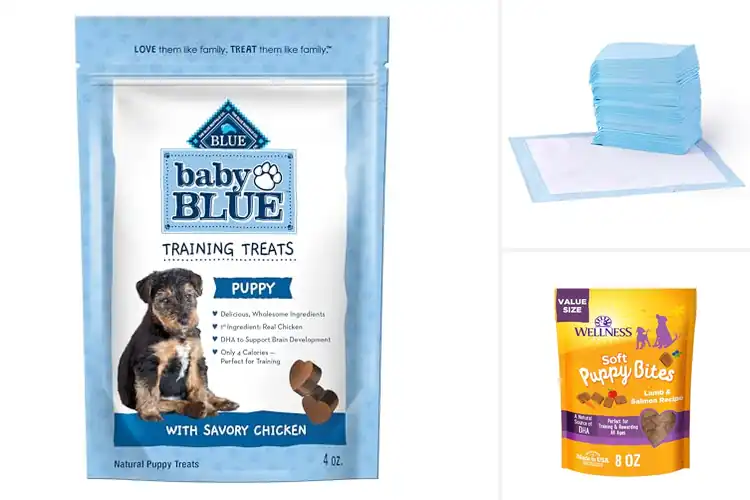 Detailed view of Best For Puppy Training