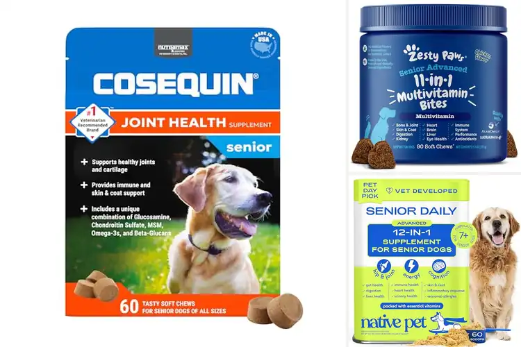 Detailed view of Best For Senior Dogs